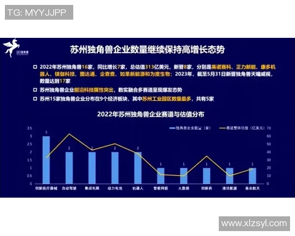 JDG在CSGO赛事中的反击表现分析与得失总结
