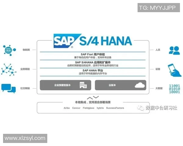 RNG战队在赛季中的力量表现与数据分析深度探讨
